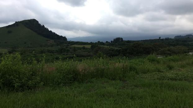 AGRICULTURAL AND ECOTOURISM LAND FOR RENT IN NEPOPUALCO MORELOS