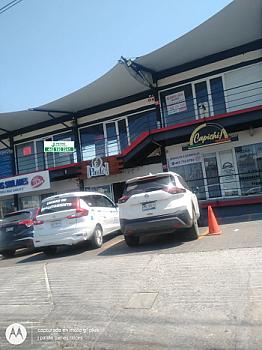 Vista de la propiedad 4