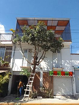 Vista de la propiedad 2