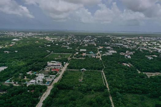 Terreno en Venta en Hacienda Álamos, Cancún | 10,000 m² con Uso de Suelo Mixto