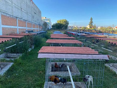 ¡Gran oportunidad de inversión en Ojo de Agua, Tecámac!  Terreno en venta con alto potencial de desarrollo.