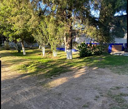 ¡Gran oportunidad de inversión en Ojo de Agua, Tecámac!  Terreno en venta con alto potencial de desarrollo.