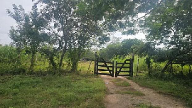 Terreno en Venta a un lado del paso del tren Maya, Mérida