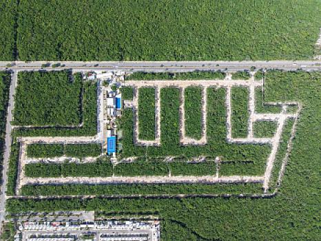 LOTES RESIDENCIALES EN VENTA , PLAYA DEL CARMEN .