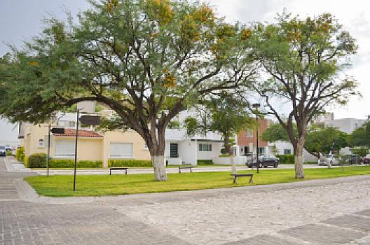 Casa amueblada en renta con jardín