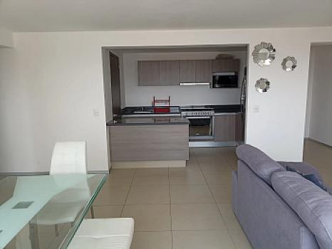DEPARTAMENTO AMUEBLADO EN RENTA EN BIOSFERA TOWERS