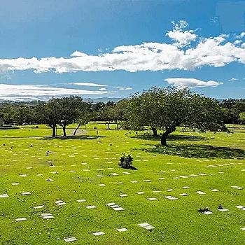 Lote funerario en Jardines del Recuerdo, Tlalnepantla (Edo. de México).