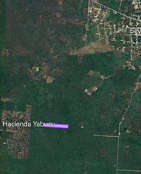 Remate de 7 hectáreas a 35 min de Merida