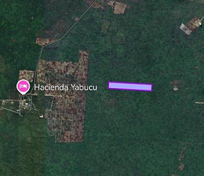 Remate de 7 hectáreas a 35 min de Merida