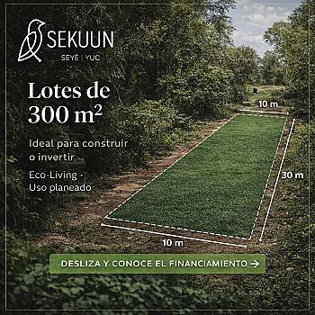 Remate de terrenos Semi urbanizados en Seye Yucatán