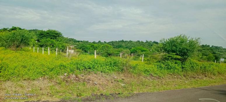 VENTA DE TERRENO EJIDAL UNA BUENA OPCIÓN