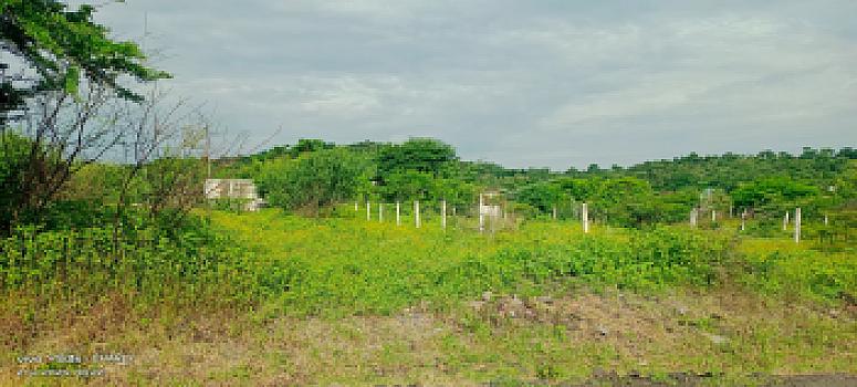 VENTA DE TERRENO EJIDAL UNA BUENA OPCIÓN