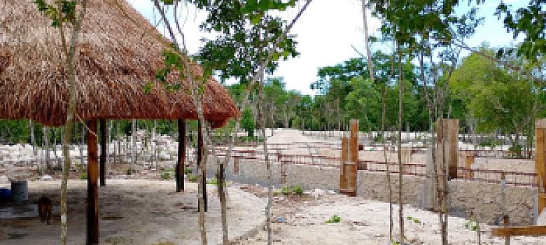 excelentes terrenos  cerca de la playa de Dzilam de Bravo desde 180m2