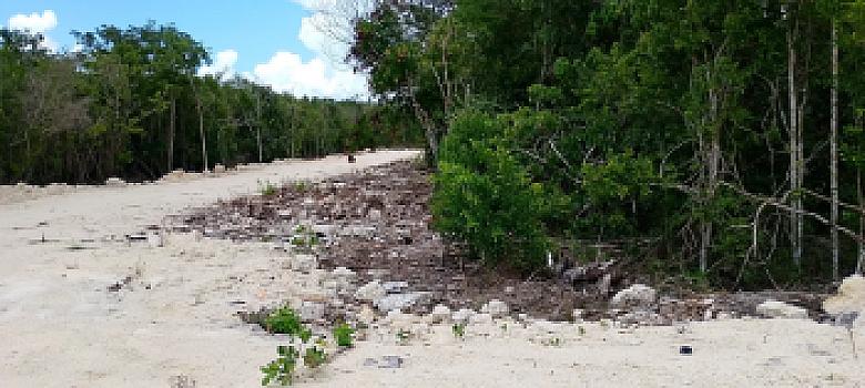 excelentes terrenos  cerca de la playa de Dzilam de Bravo desde 180m2