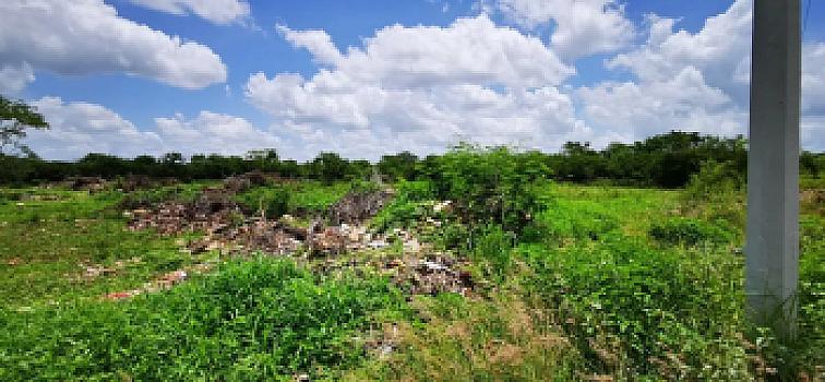 🌊✨ ¡Vendo terreno en SISAL PUEBLO MÁGICO! ✨🌊