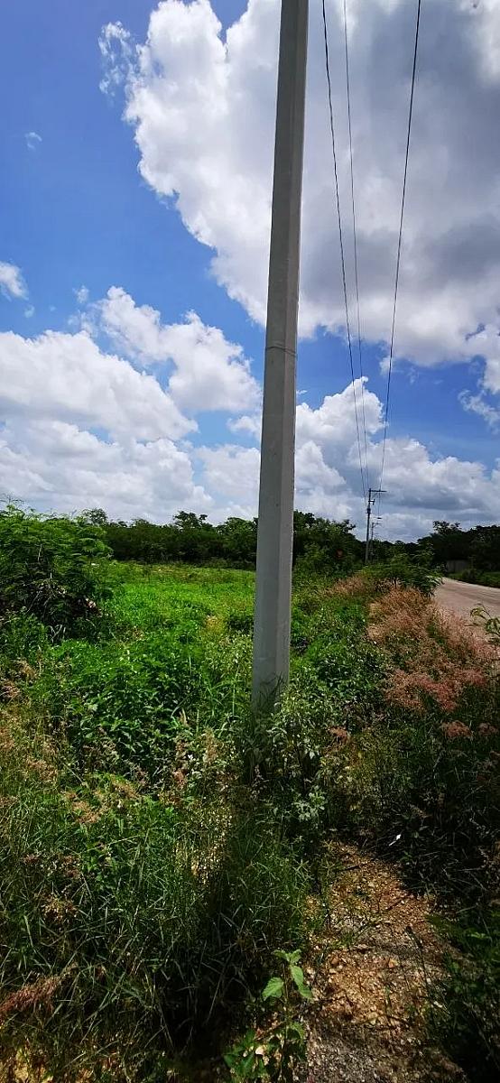 Vista de la propiedad 2
