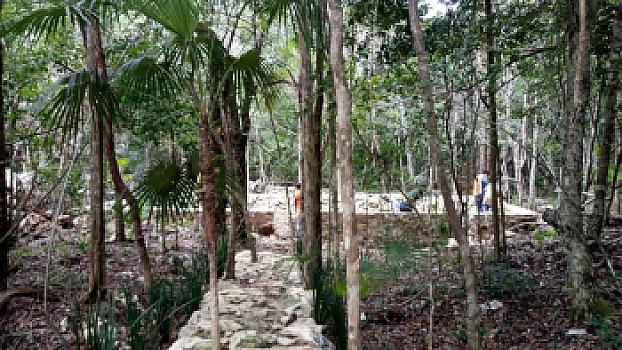 LUXURY JUNGLE KABINS - PUERTO MORELOS