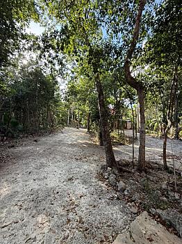 CASA ESTILO RANCHO EN 1 HECTÁREA - PUERTO MORELOS