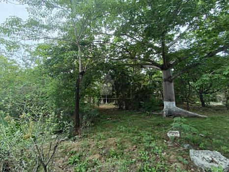 Terreno en Venta en Alfredo V. Bonfil, 5,000m2 Uso Comercial, Cancun Quintana Roo