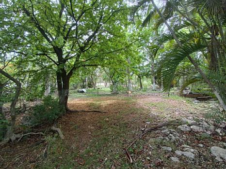 Terreno en Venta en Alfredo V. Bonfil, 5,000m2 Uso Comercial, Cancun Quintana Roo