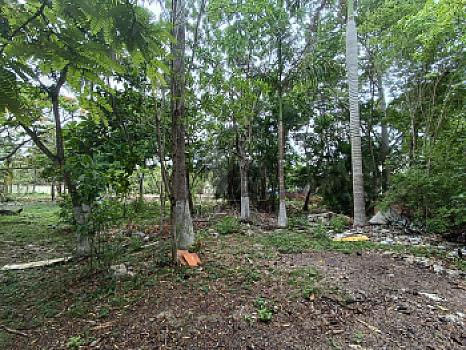 Terreno en Venta en Alfredo V. Bonfil, 5,000m2 Uso Comercial, Cancun Quintana Roo
