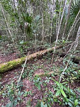 PAQUETE DE TERRENO EN RUTA DE LOS CENOTES EN KM6 - PUERTO MORELOS