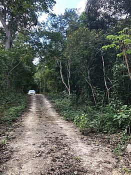 PAQUETE DE TERRENO EN RUTA DE LOS CENOTES EN KM6 - PUERTO MORELOS
