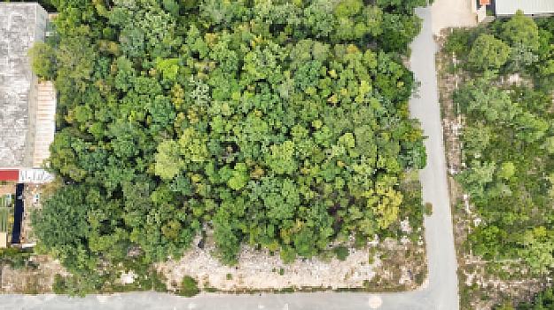 DESARROLLADORES INVERSIONISTAS GRAN OPCION TERRENO DE USO MIXTO EN VENTA – AVENIDA HUAYACÁN, CANCÚN