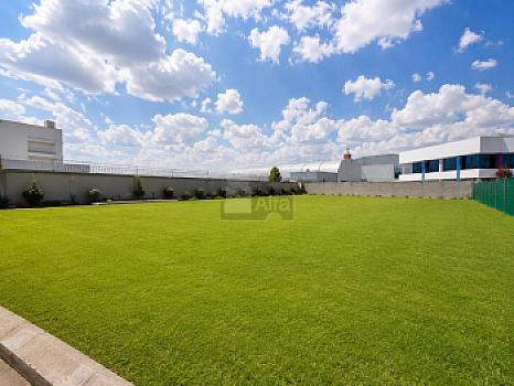 Terreno bardado frente a la uvm Metepec