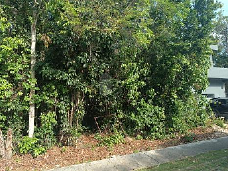 Terreno habitacional en venta en Paseo de la Selva 2, SMZ-326, Benito Juárez, Quintana Roo