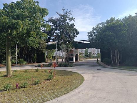 Terreno habitacional en venta en Paseo de la Selva 2, SMZ-326, Benito Juárez, Quintana Roo