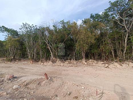 Terreno Comercial Venta Residencial Altai, Cancún