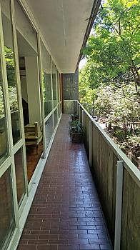 SPACIOUS APARTMENT FOR RENT IN LA CONDESA