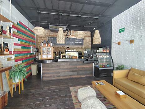 Your financial asset in Playa del Carmen