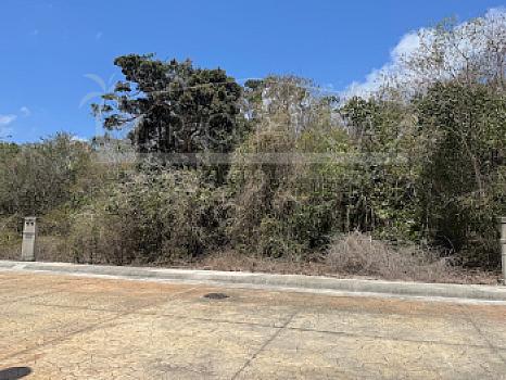 2 GRANDES TERRENOS EN VENTA ALDEA KAAN – PUERTO MORELOS EN LA CALLE DEL MANGLAR