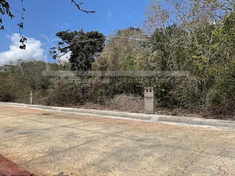 2 GRANDES TERRENOS EN VENTA ALDEA KAAN – PUERTO MORELOS EN LA CALLE DEL MANGLAR