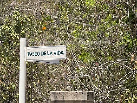 2 GRANDES TERRENOS EN VENTA ALDEA KAAN – PUERTO MORELOS EN LA CALLE DEL MANGLAR