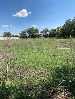 Se casa con 6000 metros de terreno en Zumpango