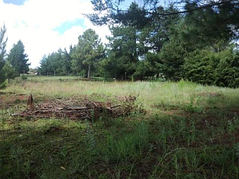 TERRENO EN VENTA ATOTONILCO EL GRANDE