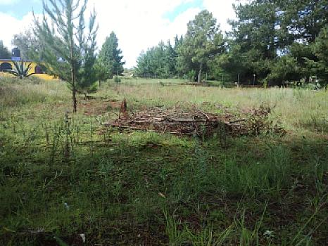 TERRENO EN VENTA ATOTONILCO EL GRANDE