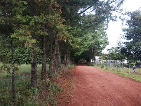 TERRENO EN VENTA ATOTONILCO EL GRANDE