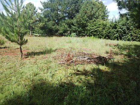 TERRENO EN VENTA ATOTONILCO EL GRANDE