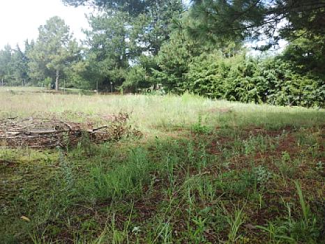 TERRENO EN VENTA ATOTONILCO EL GRANDE