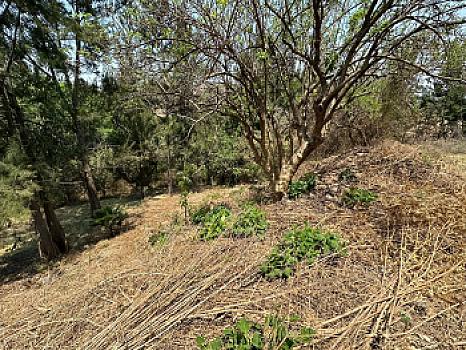 Magnifico Terreno en Club de Golf