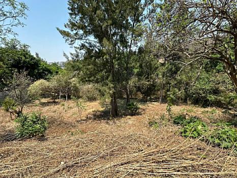Magnifico Terreno en Club de Golf