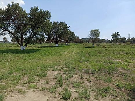 Lots for Sale in Tzompantepec SIMEC Tlaxcala