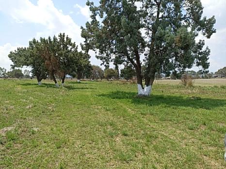 Lots for Sale in Tzompantepec SIMEC Tlaxcala