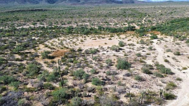 741 HECTAREAS NEAR MULEGE B.C.S.