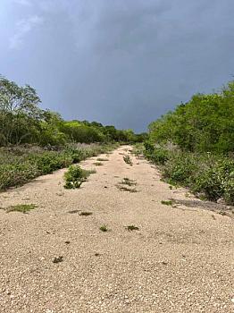 TERRENO EN VENTA MUY CERCA DE LA PLAYA