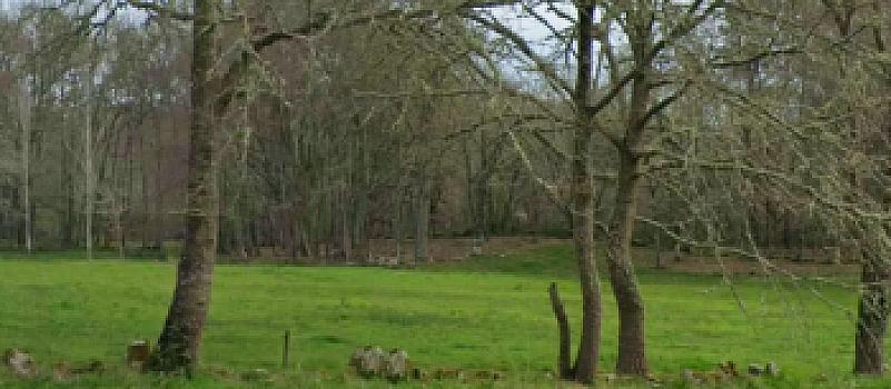 Vista de la propiedad 3